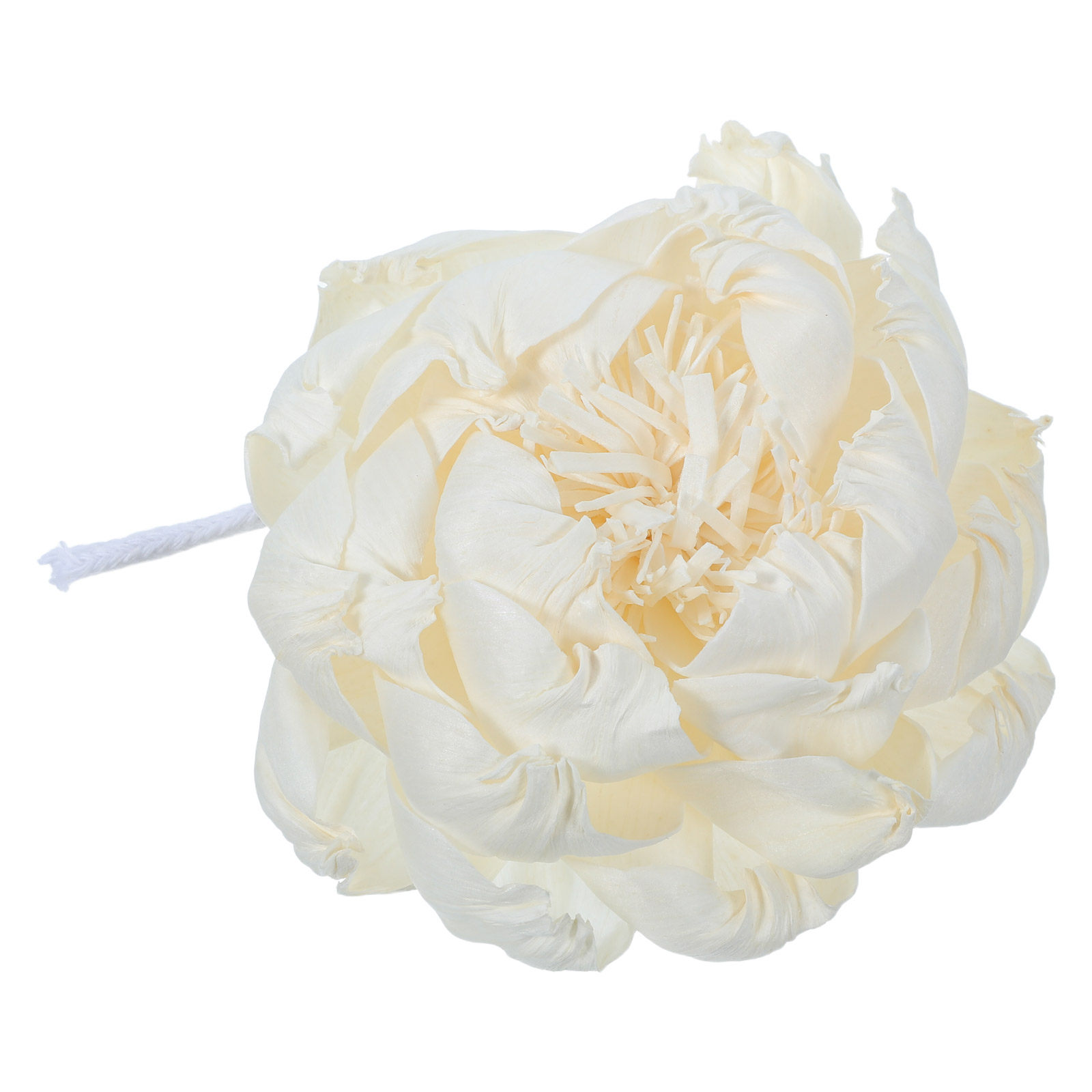 Dyfuzor zapachowy z głową piwo – Home Fragrance Diffuser Oil recenzja i cena